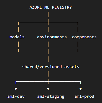 AML registry.png|250