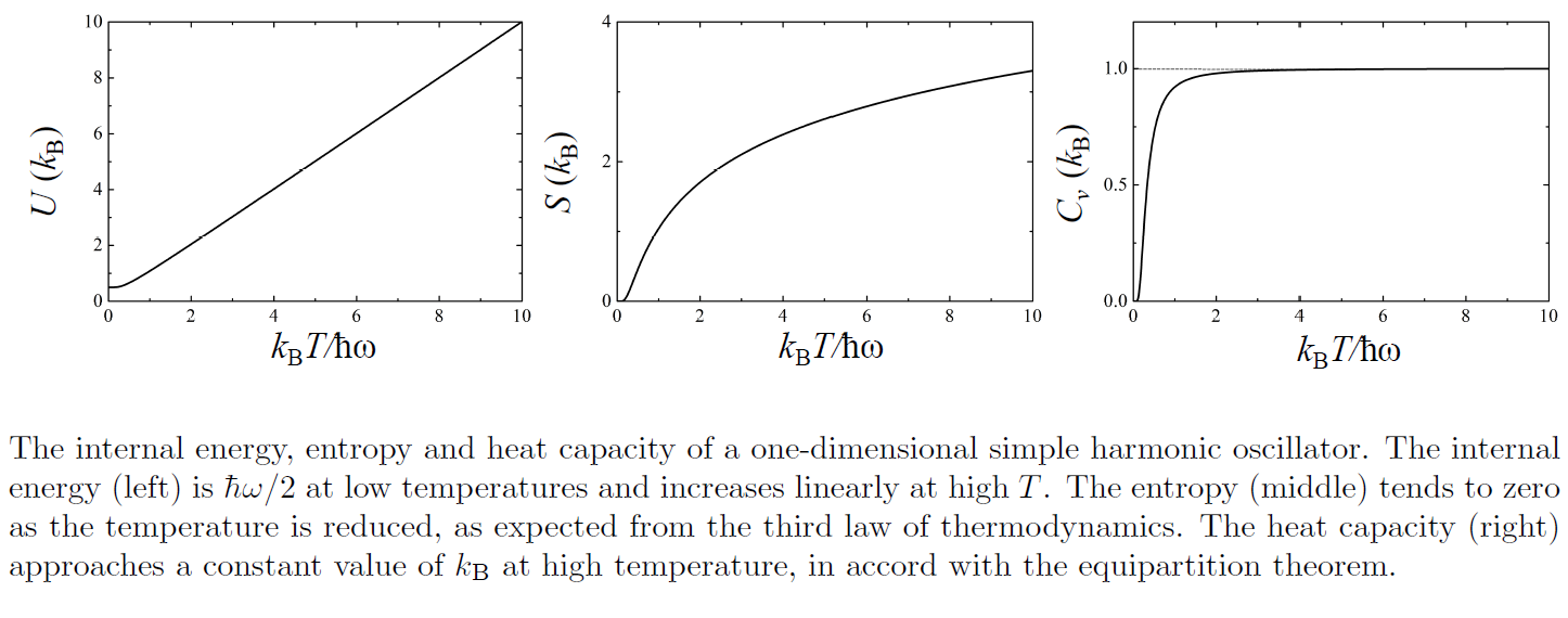PX284 - E3 - harmonic oscillator in 1D.png|100%