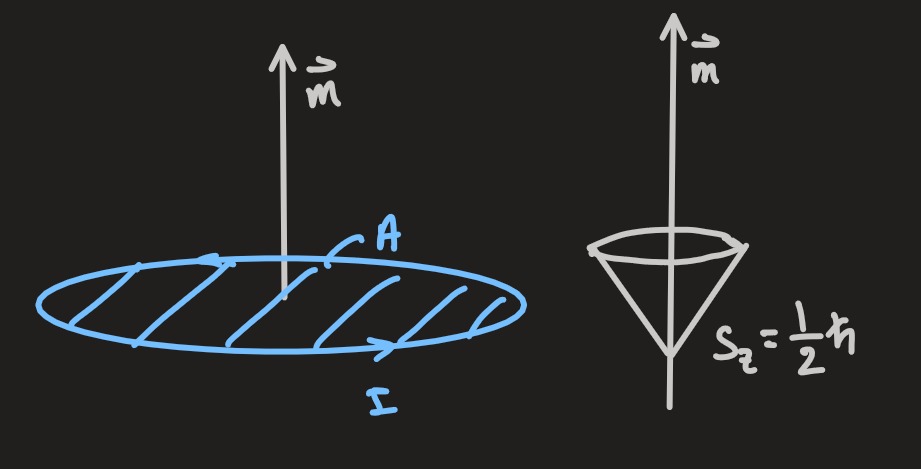 PX284 - P5 - magnetization.png|500