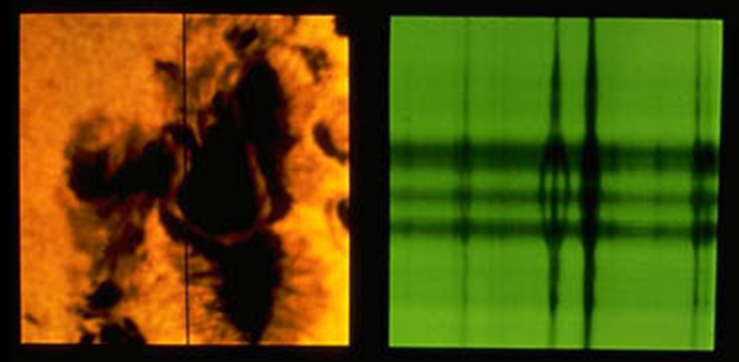 Pasted image 20241203104637.png|500